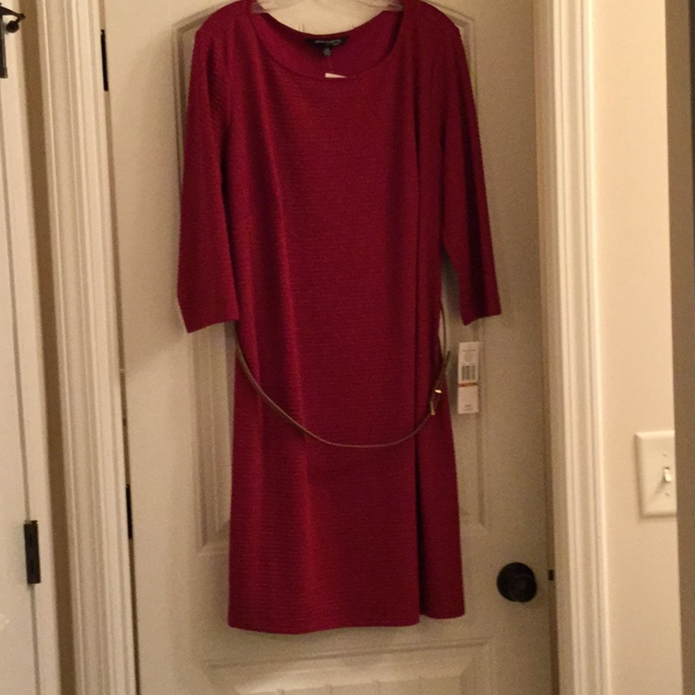 Belted dress